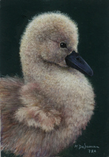 prints of duckling painting by Mally DeSomma